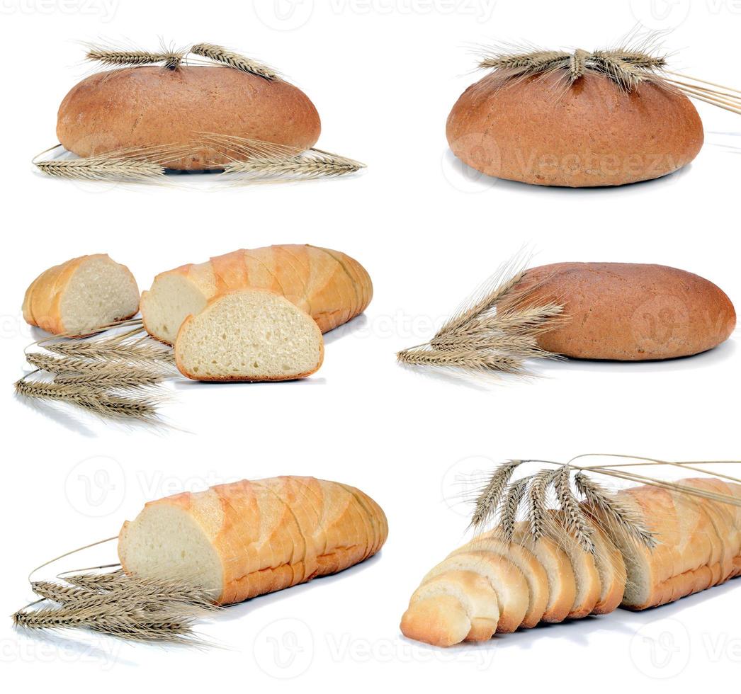 bread from a wheat photo