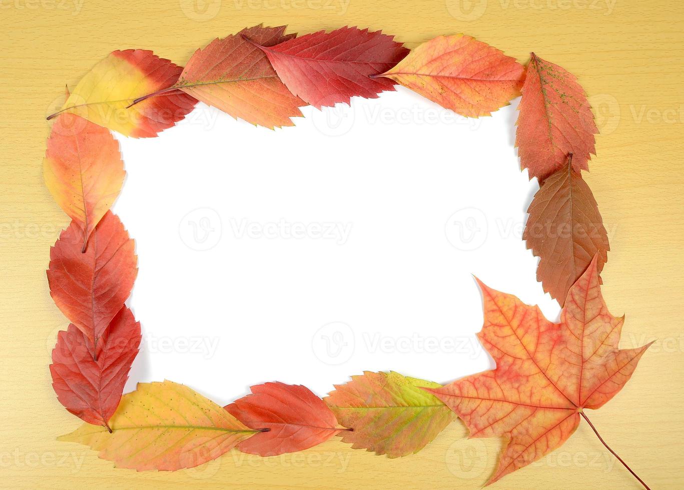 autumn leaves and sheet of paper photo