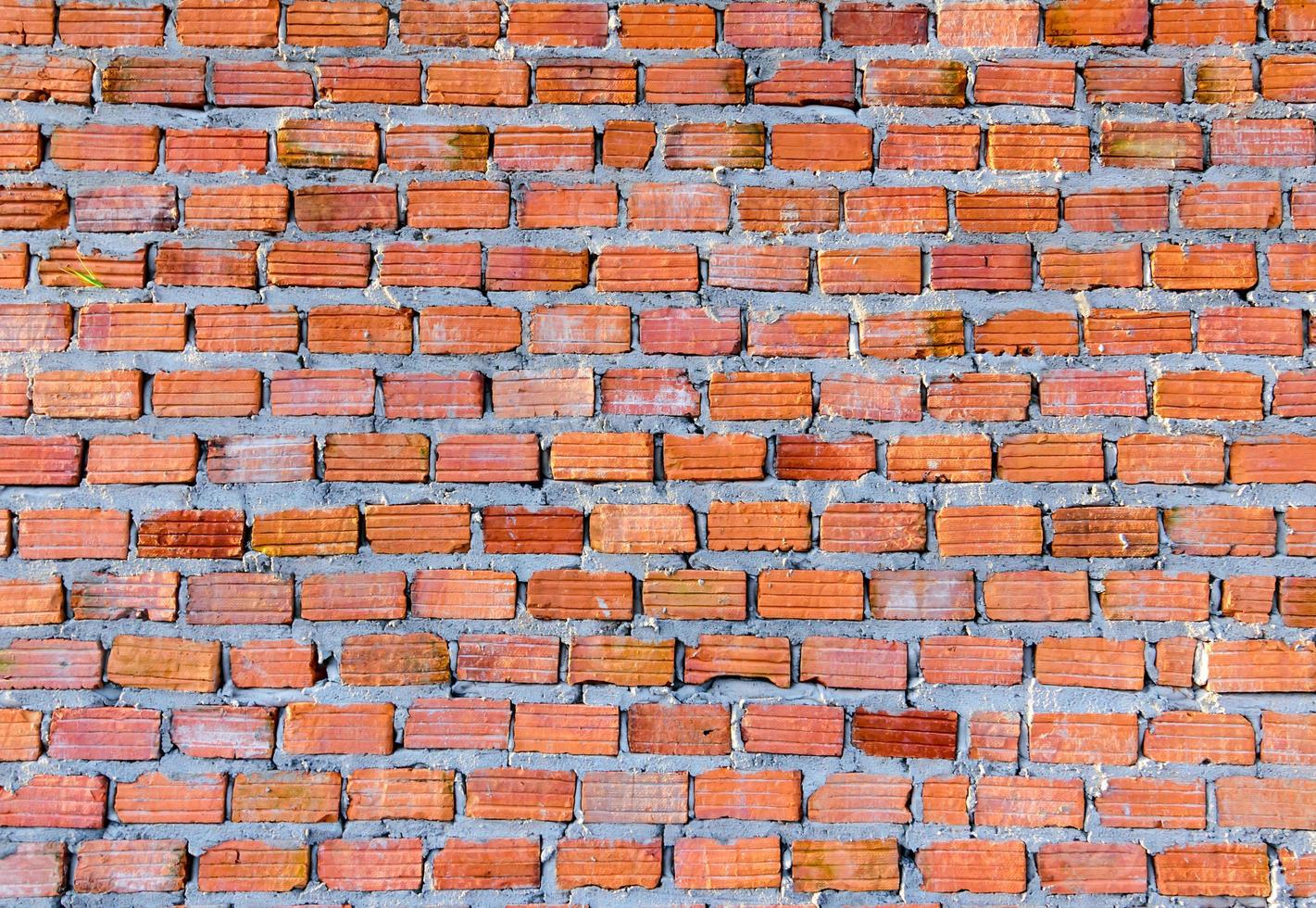 red brick wall texture  background photo