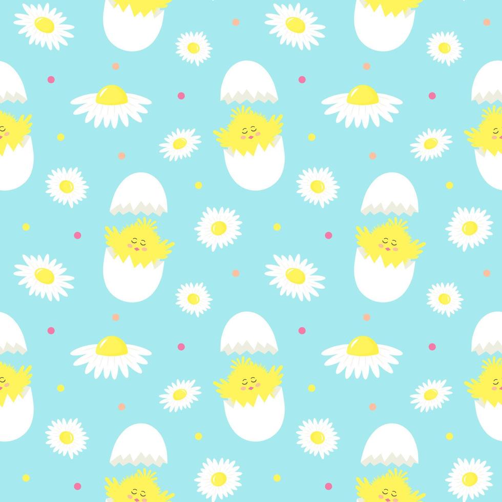 Seamless pattern with cute yellow chick in cracked eggs and chamomiles. vector