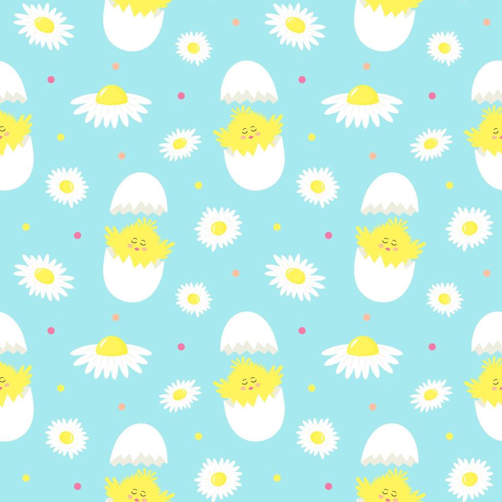 Seamless pattern with cute yellow chick in cracked eggs and chamomiles. vector