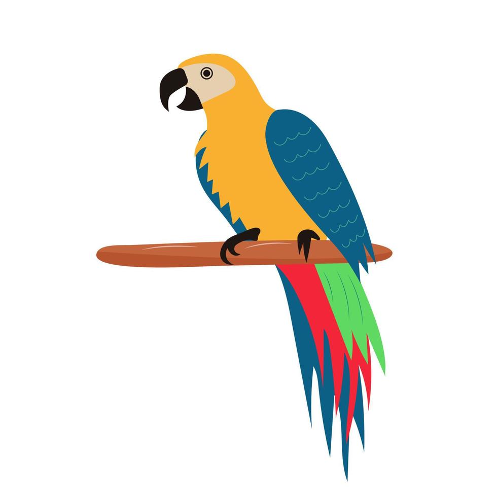 Pirate parrot sitting on wooden perch. Colorful tropical exotic bird. vector