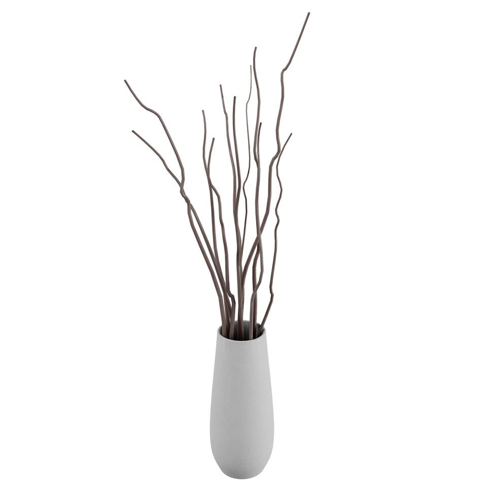 3D rendering isolated fake branch in the white vase and white background photo