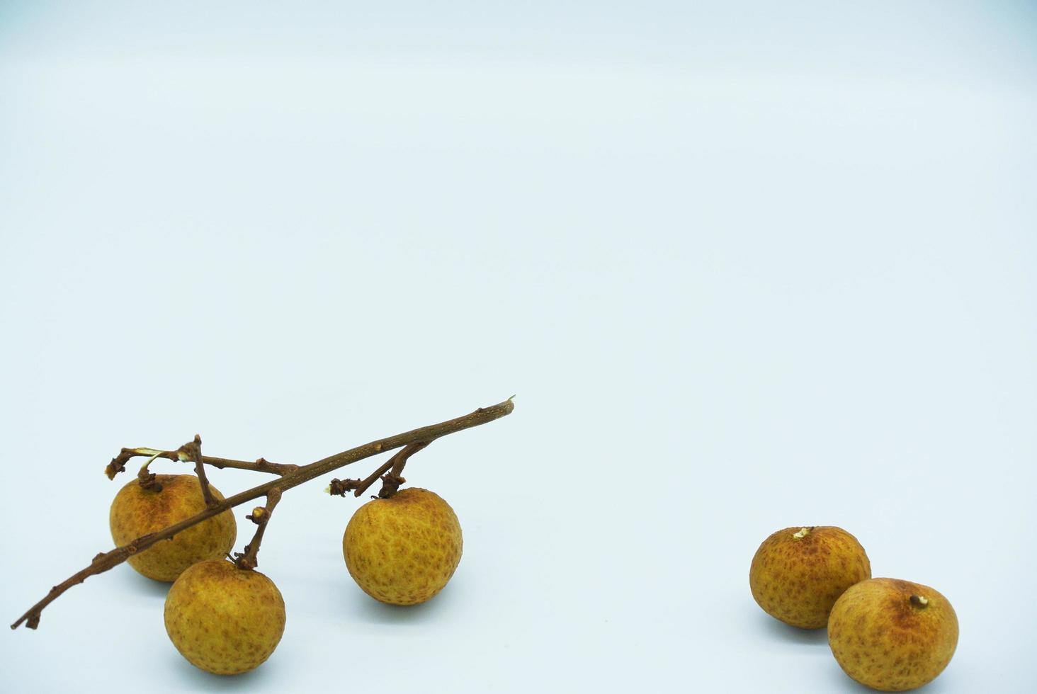 Fresh longan isolated on white background.longan thai fruit and space for copy space photo