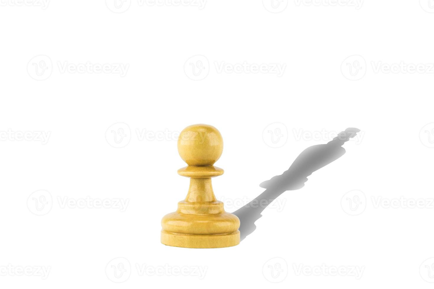 chess figure on white background photo