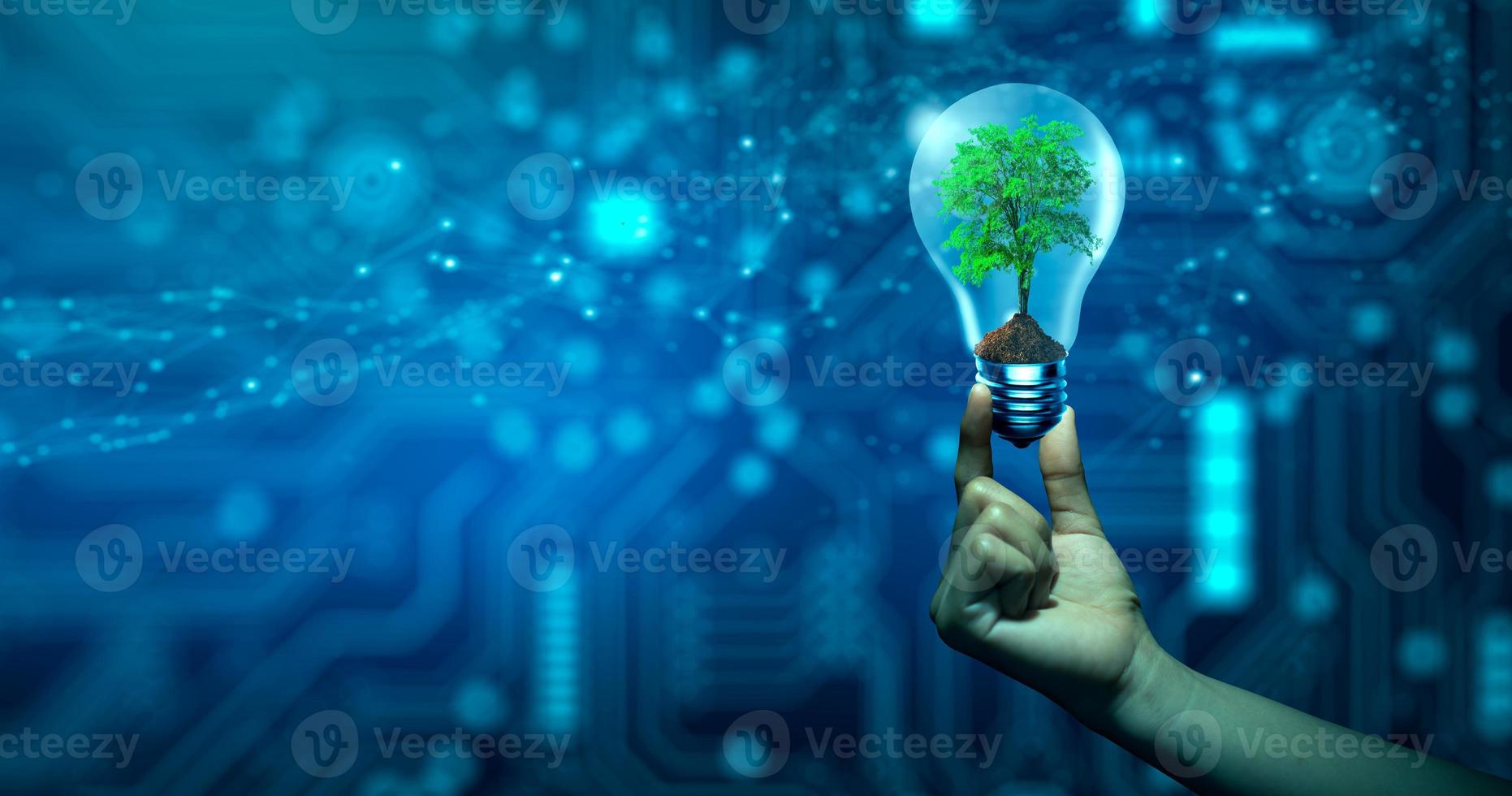 Hand holding Tree growing in light bulb. Ecology, Technology Convergence, Green Computing, and IT Ethics photo