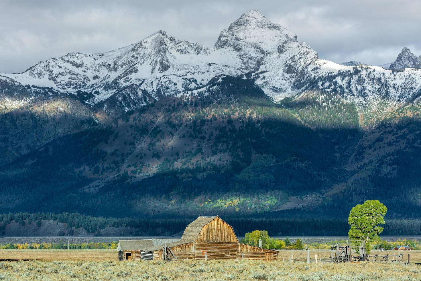 JACKSON, WYOMING, USA, 2013. View of Mormon Row photo
