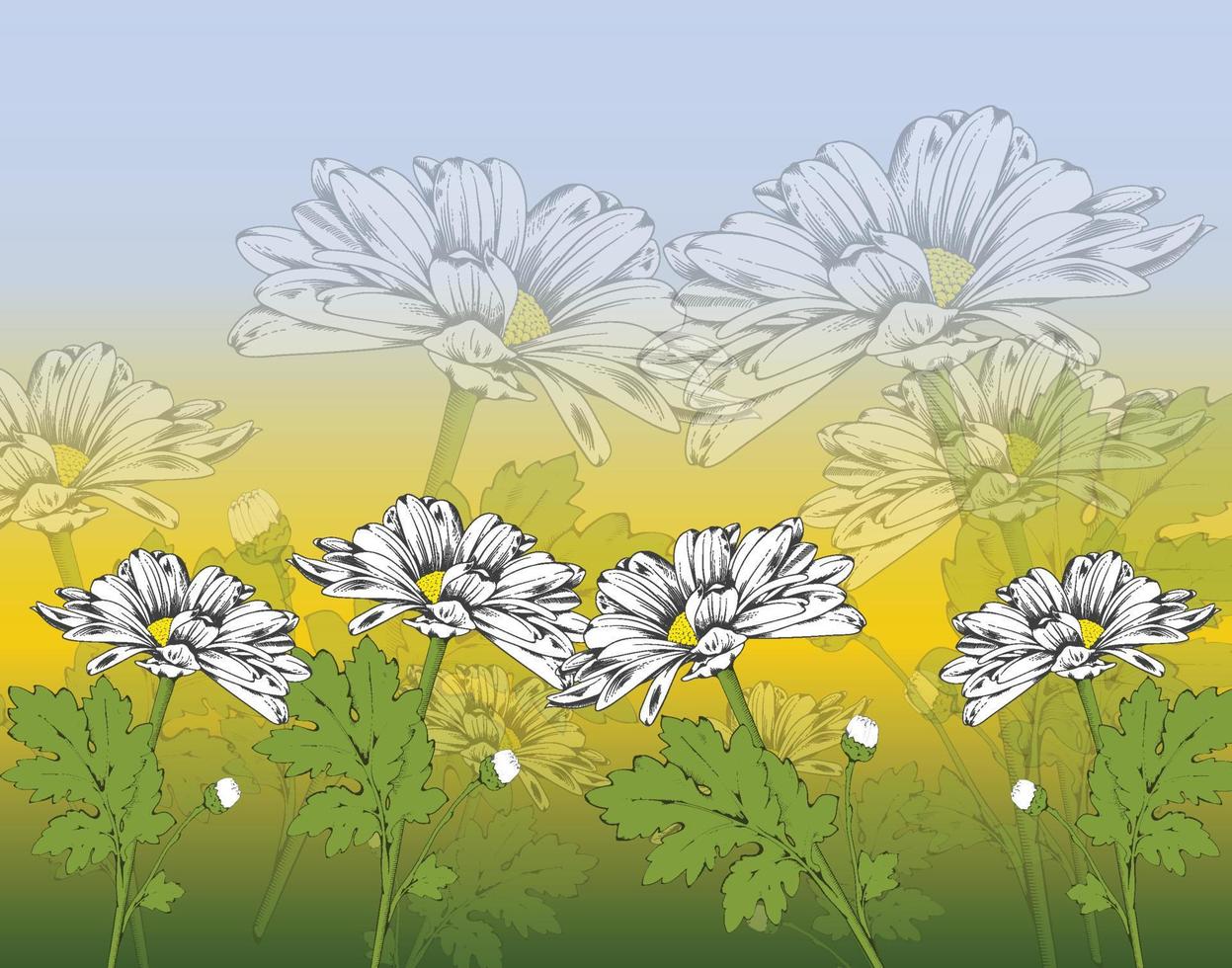 Daisy floral painting handdrawn classical blurred design vector
