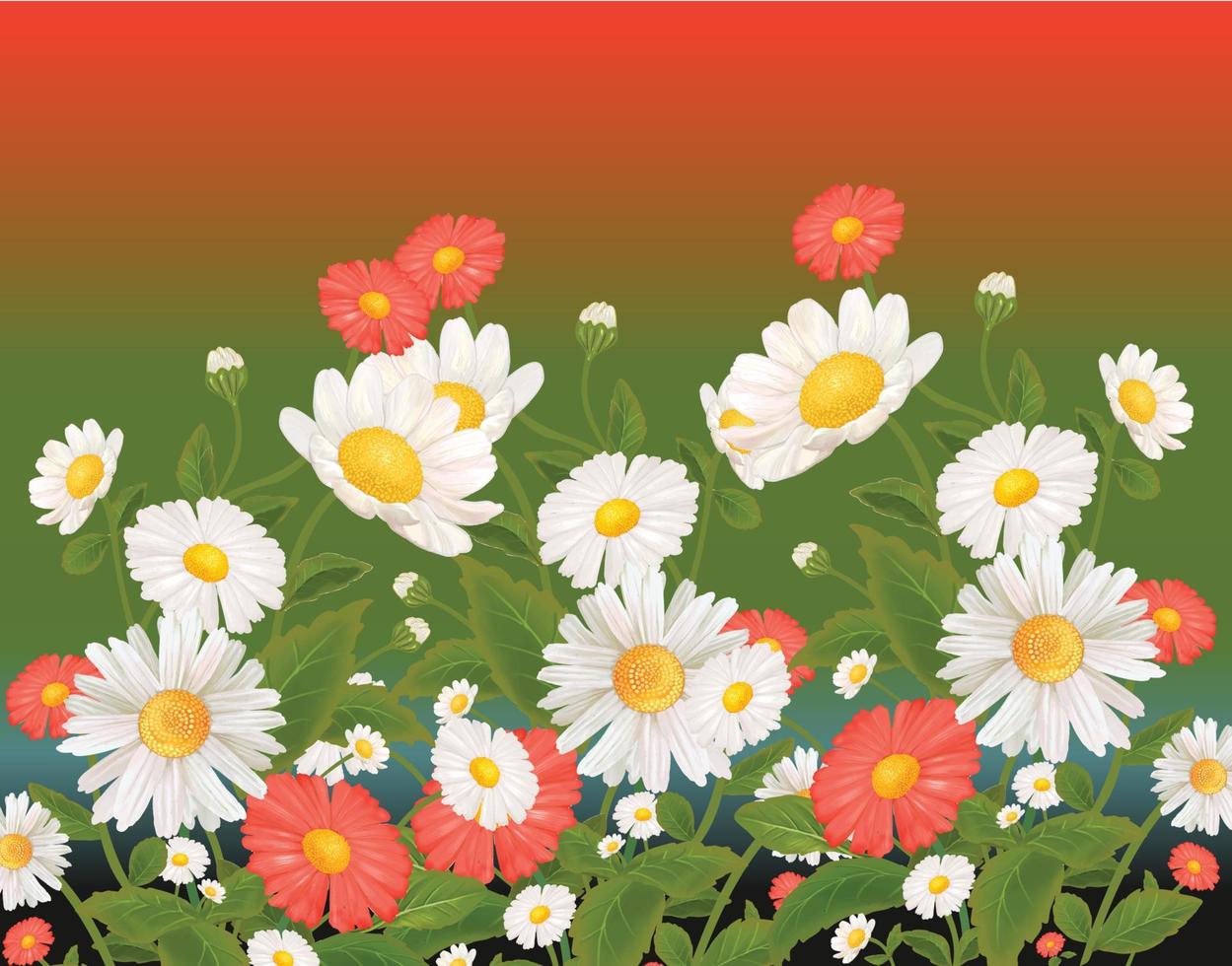 mixed daisy flowers vector