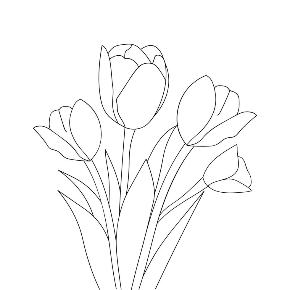 tulips flower contour drawing outline blossom petal illustration vector