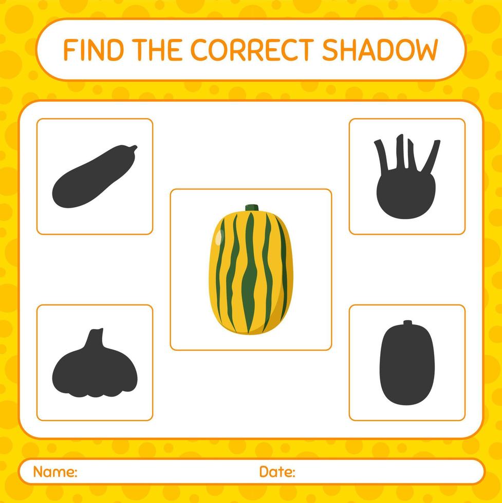 Find the correct shadows game with delicata squash. worksheet for preschool kids, kids activity sheet vector