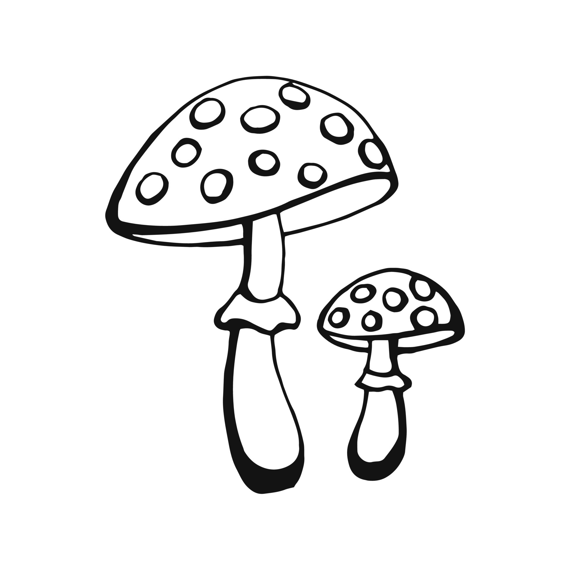 Hand drawn mushroom outline. Line art style isolated on white