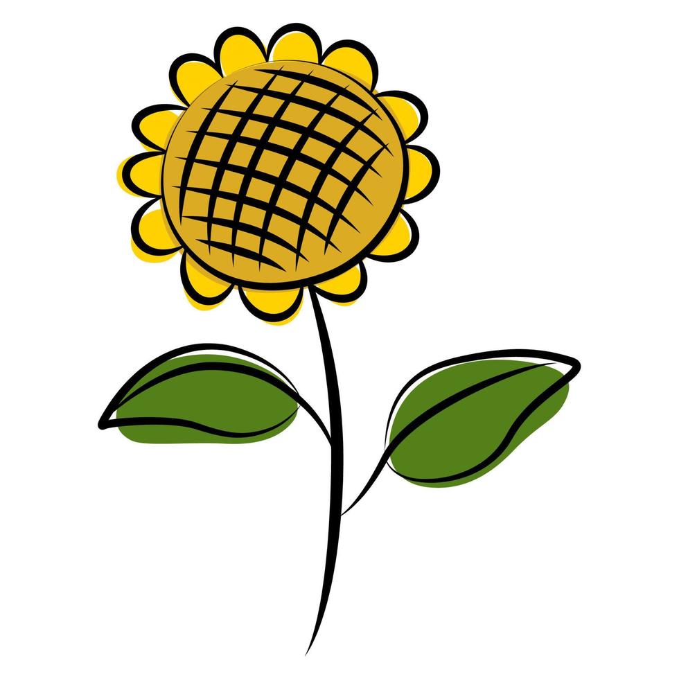 Hand Draw Brush Flower. vector