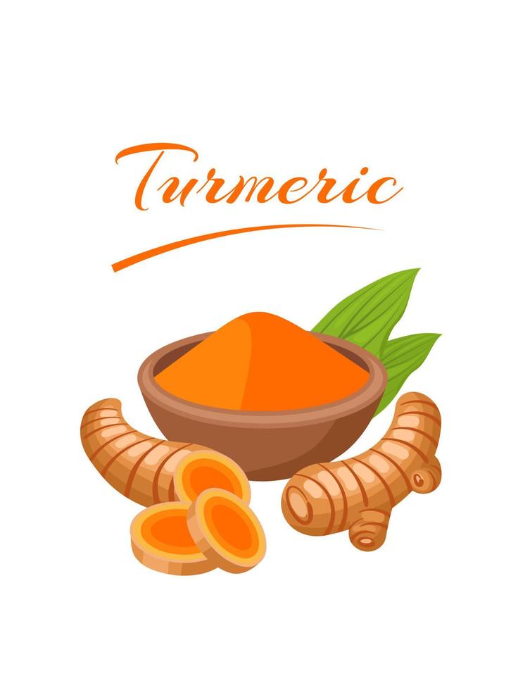 Turmeric or tumeric powder  curcumin, Curcuma longa Linn  in wooden bowl and kurkuma rhizome with leaf isolated on white background. vector