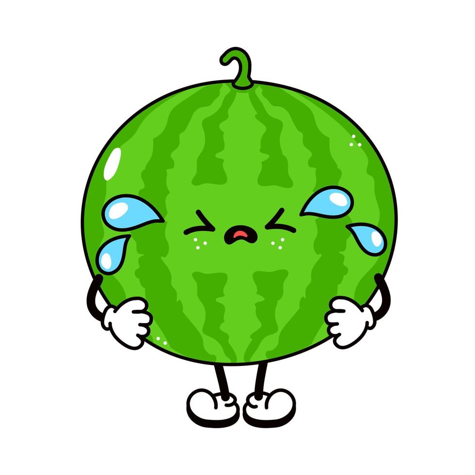 Cute funny crying sad watermelon character. Vector hand drawn traditional cartoon vintage, retro, kawaii character illustration icon. Isolated on white background. Cry watermelon character concept