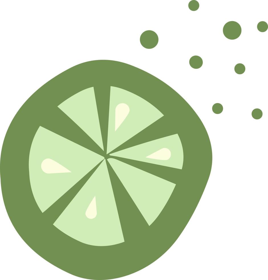Fresh piece of fruit. lime slice. vegan food. flat vector illustration, element for your design