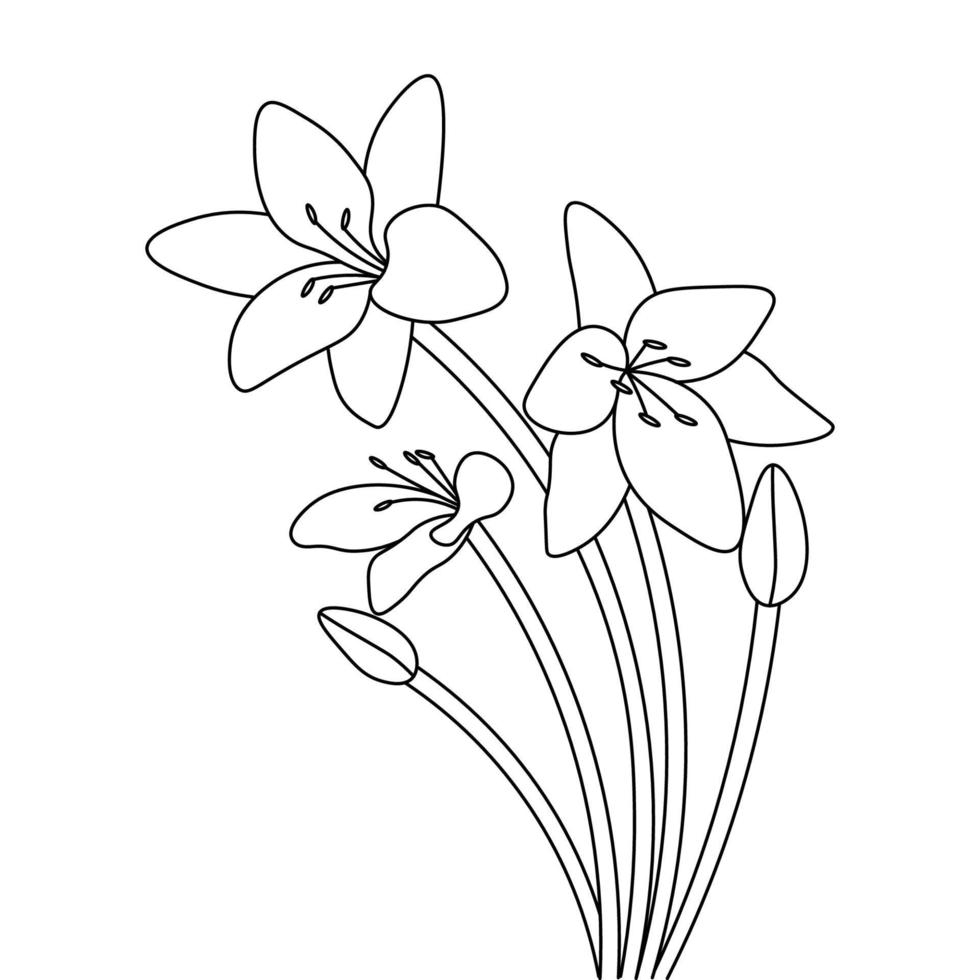 tropical flower illustration coloring page template on isolated background vector
