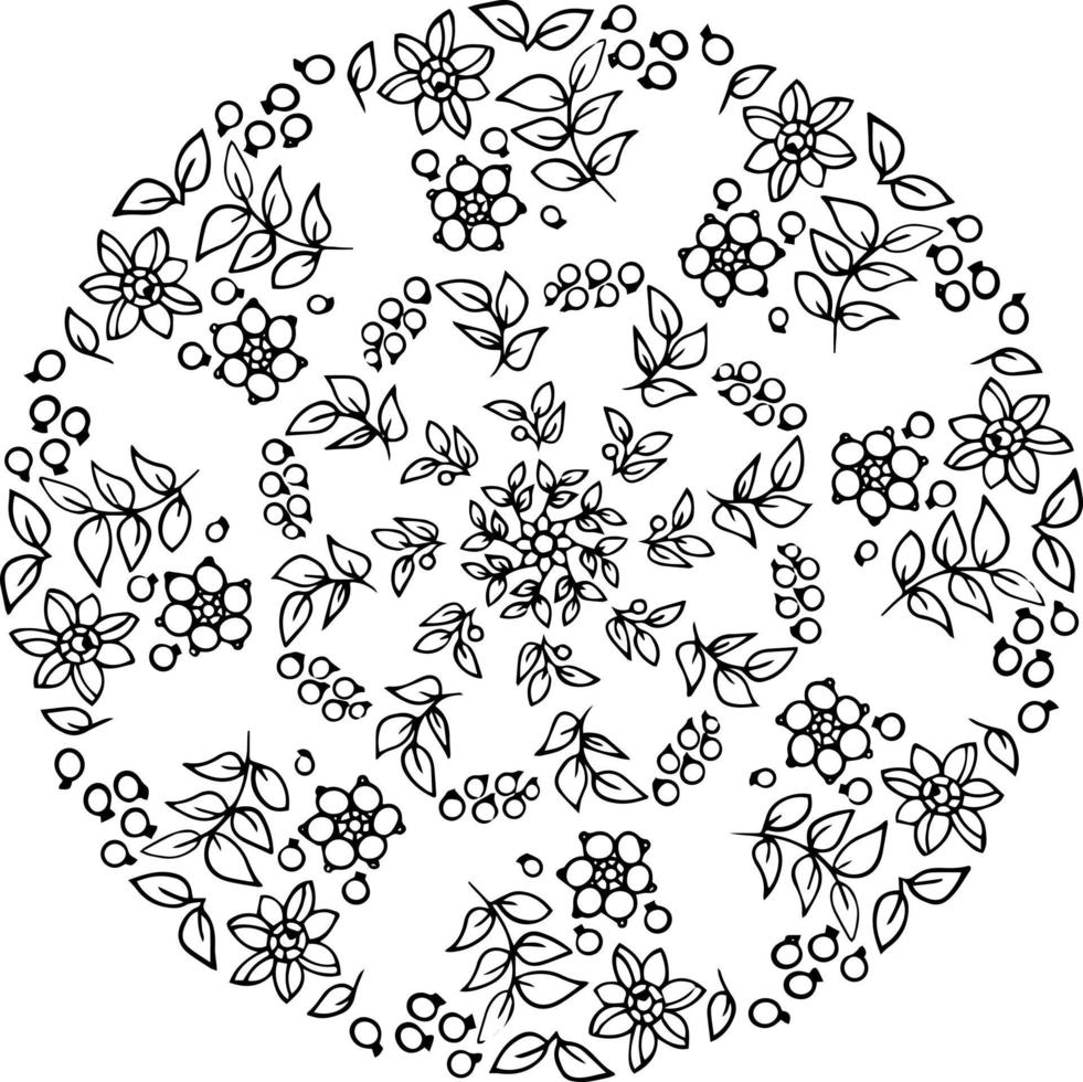 flores, hojas y bayas en composición botánica. dibujo vectorial a mano, arte lineal. colorear para adultos y niños. mándala patrones florales para diseño circular vector