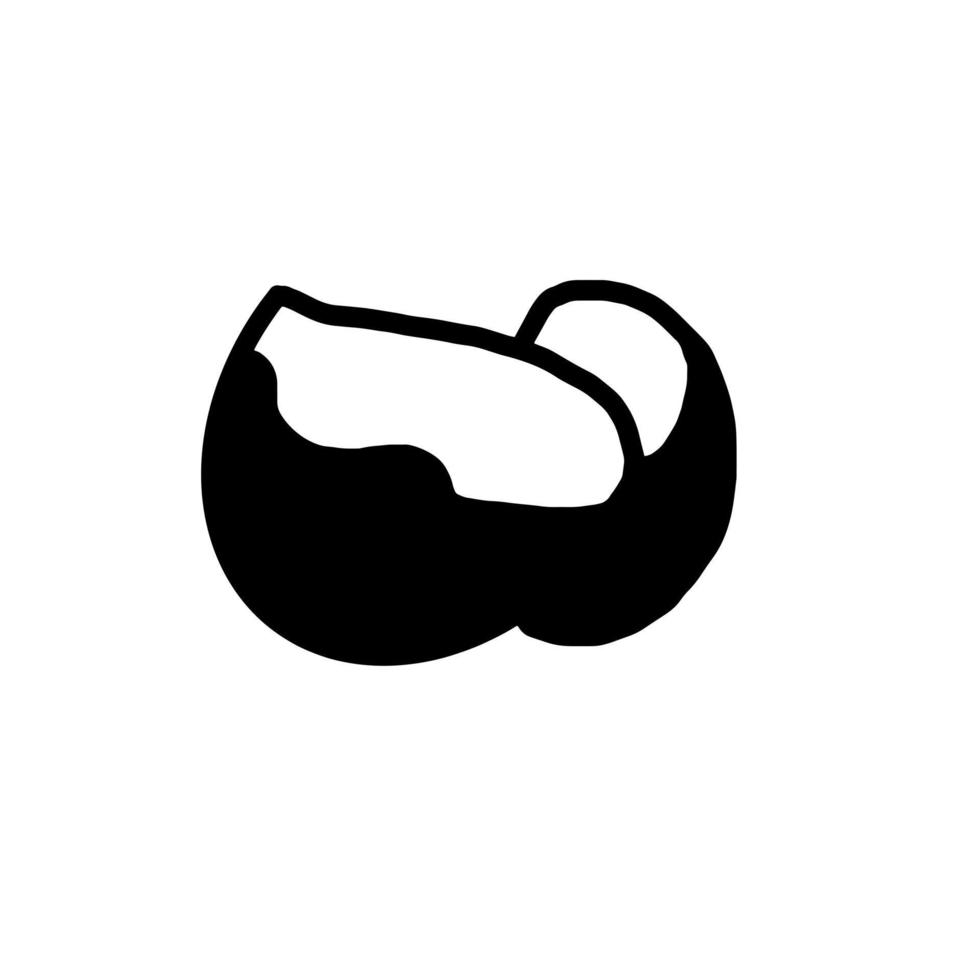 Coconut Fruit Healthy Food Hand drawn organic line Doodle vector