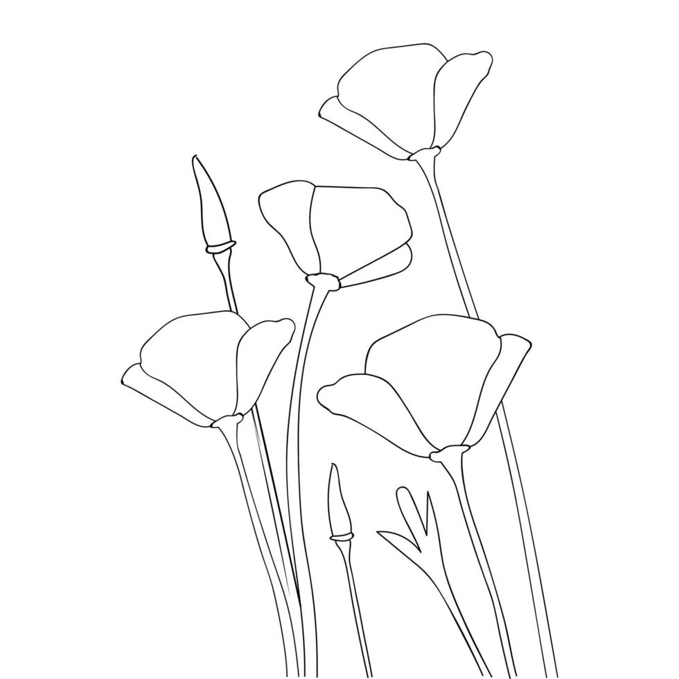 dibujado a mano naturaleza flor línea arte dibujo contorno página para colorear para niños vector