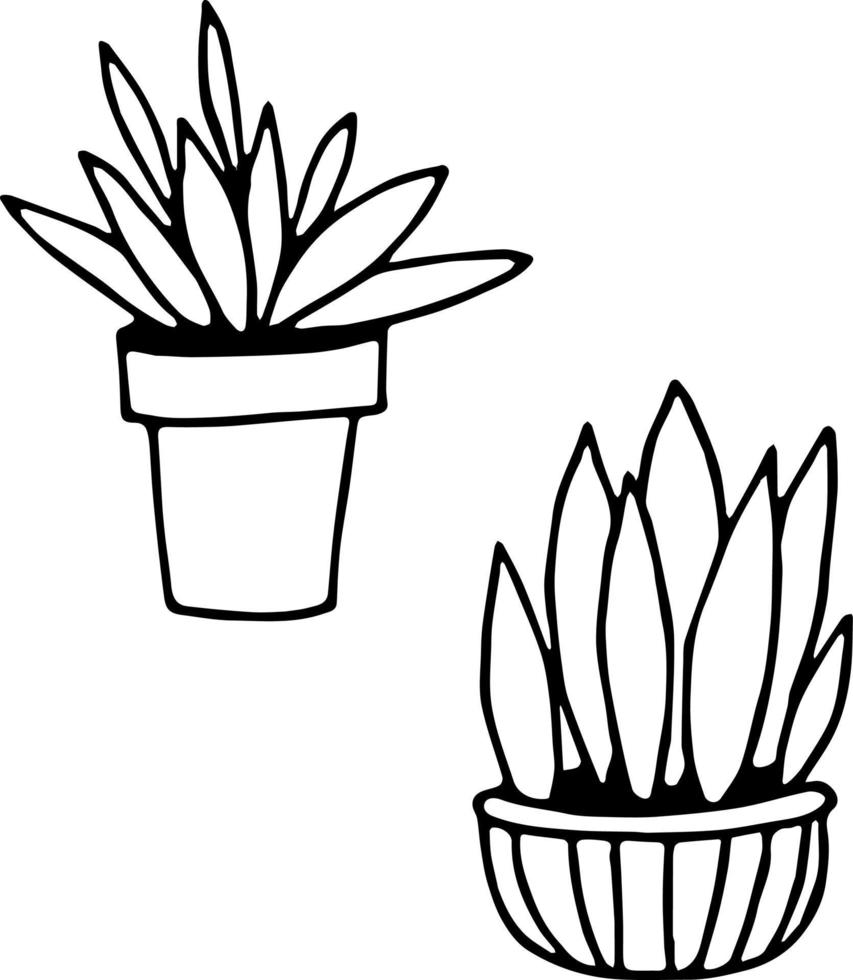 Potted houseplants set hand drawn in doodle. collection of elements scandinavian hygge monochrome minimalism simple. cozy home, interior, plant, flower, pot, gardening. icon, card, sticker poster vector