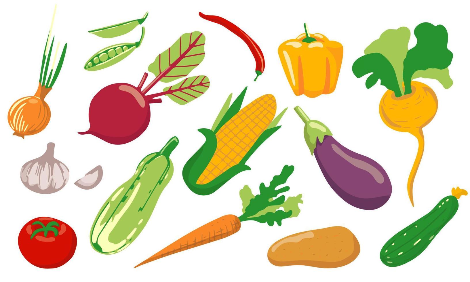 A set of different vegetables. Vegan healthy food. Harvest organic healthy food. Vector flat elements for design