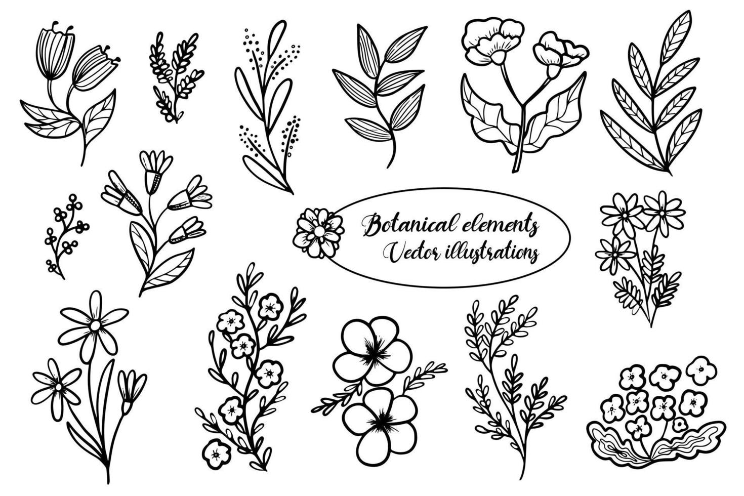 Vector botanical set. Spring and summer herbs and flowers. Hand drawn wildflowers and branches with leaves. Elements for your design