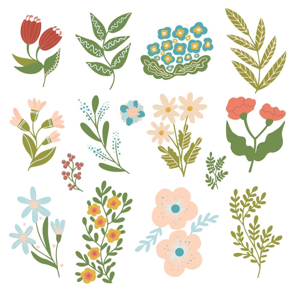 conjunto botánico. hierbas y flores de primavera. flores silvestres dibujadas a mano vector