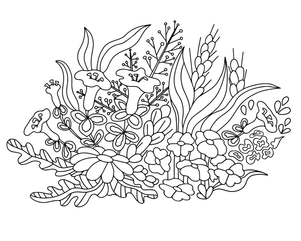 Wildflowers, leaves and berries. Beautiful bouquet, botanical composition. Coloring books for adults and children. Hand drawn vector, line art. vector