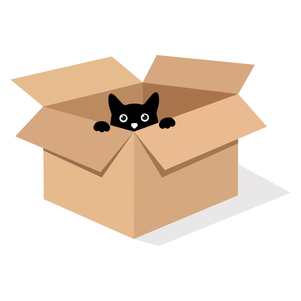 ilustración de un gato negro en una caja vector