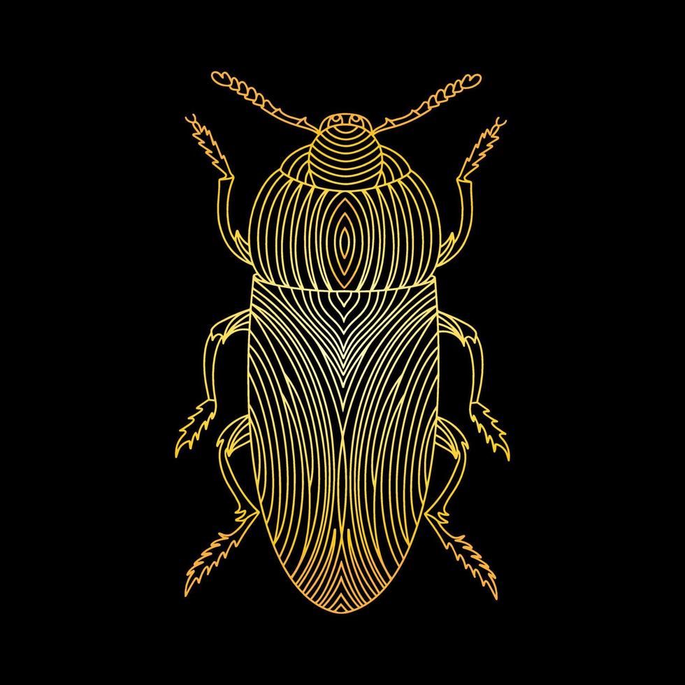 A golden beetle in a linear style. Linear vector illustration