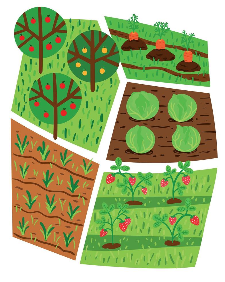 ilustración vectorial de la agricultura, la huerta y las camas con plántulas y árboles frutales vector