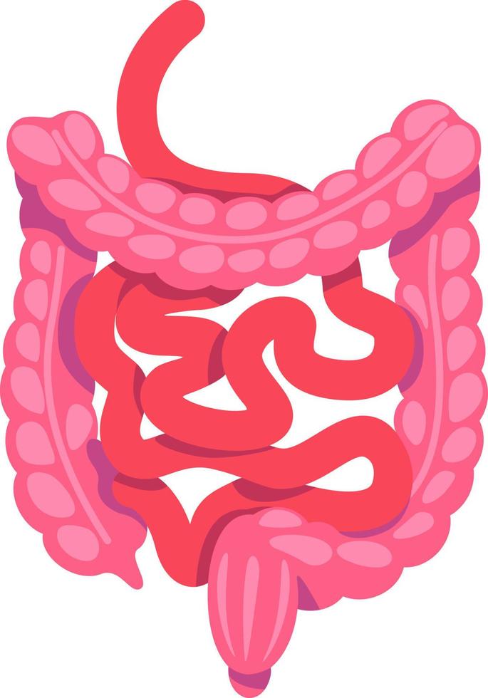 tripas objeto de vector de color semi plano