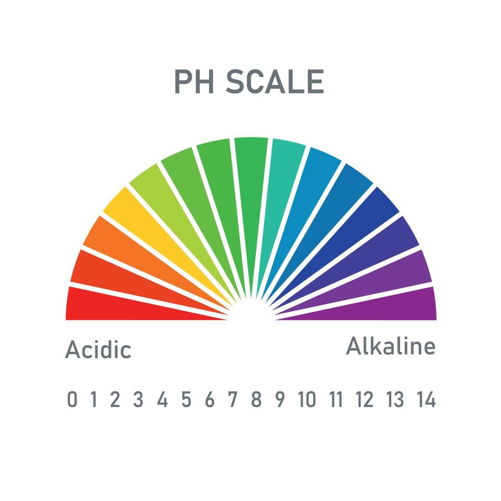 PH Scale for acid and alkaline solutions. Infographic acid-base balance. Chemical analysis graphic concept. Vector illustration on white background