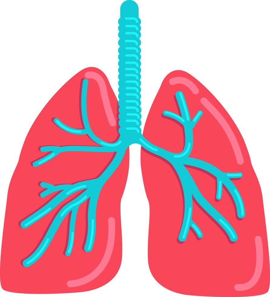 Lungs semi flat color vector object