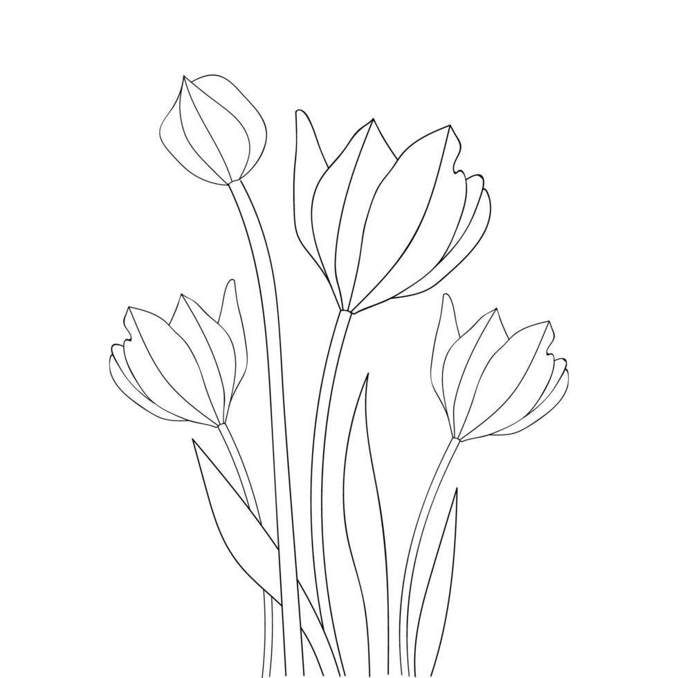 simple detailed line art tulip coloring page artwork of blooming branch vector