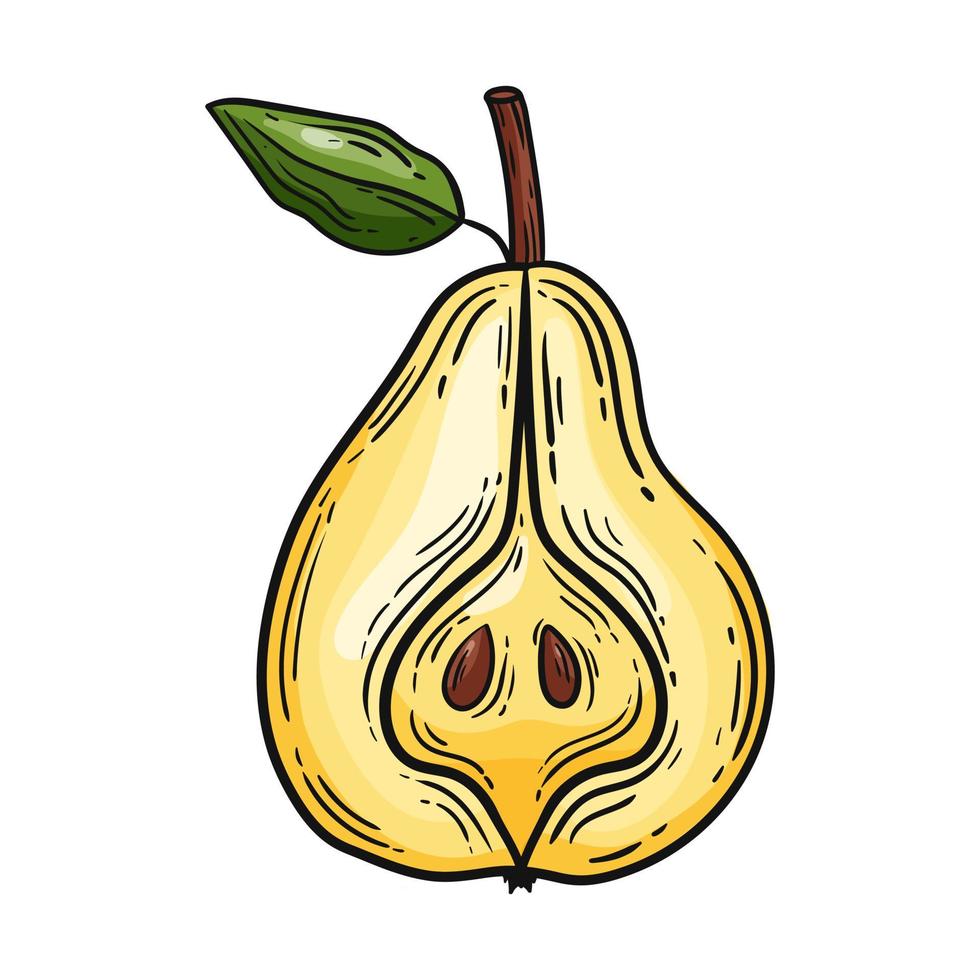 Pear yellow, hand drawn, vector illustration, vintage, on a white background.