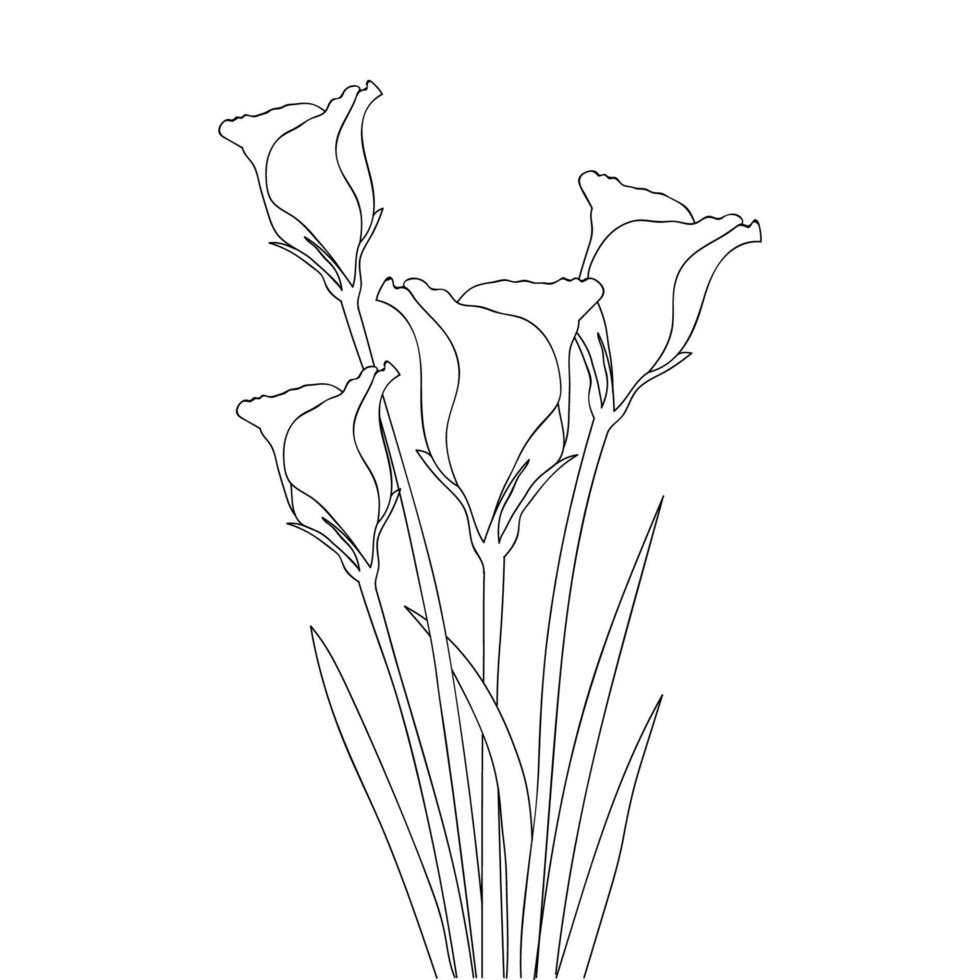 blooming flower illustration of coloring page with black and white line art vector