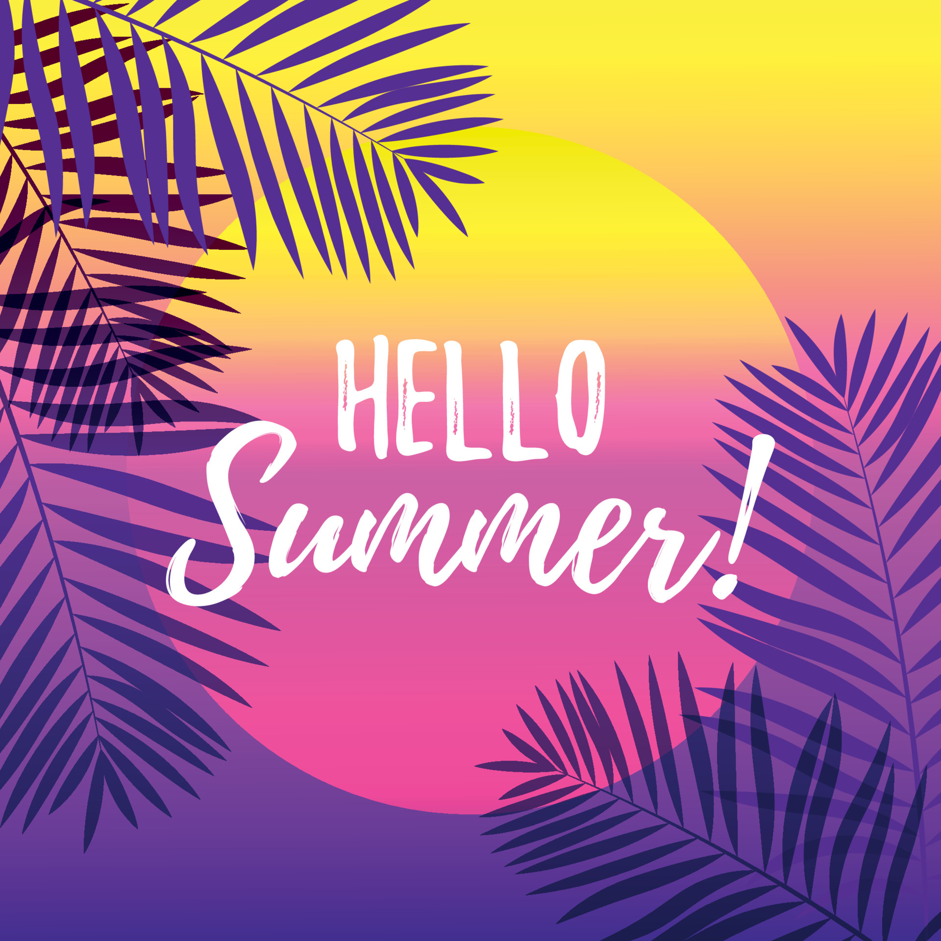 Hello Summer design with tropical background. Vector illustration