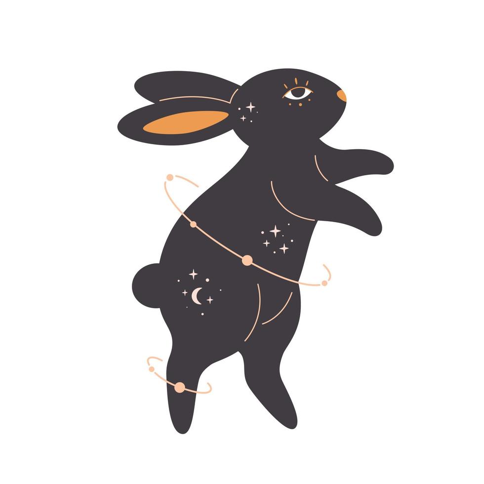 Rabbit with esoteric, mystic, astrology and magician elements. Year of the Rabbit vector