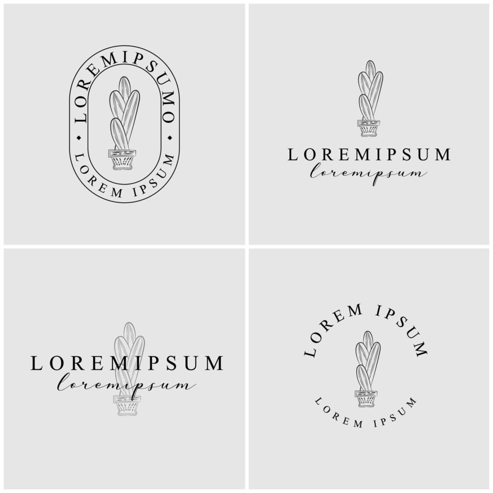 hand drawn cactus logo collection vector
