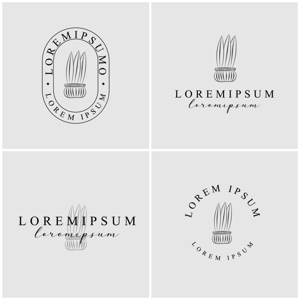 hand drawn cactus logo collection vector