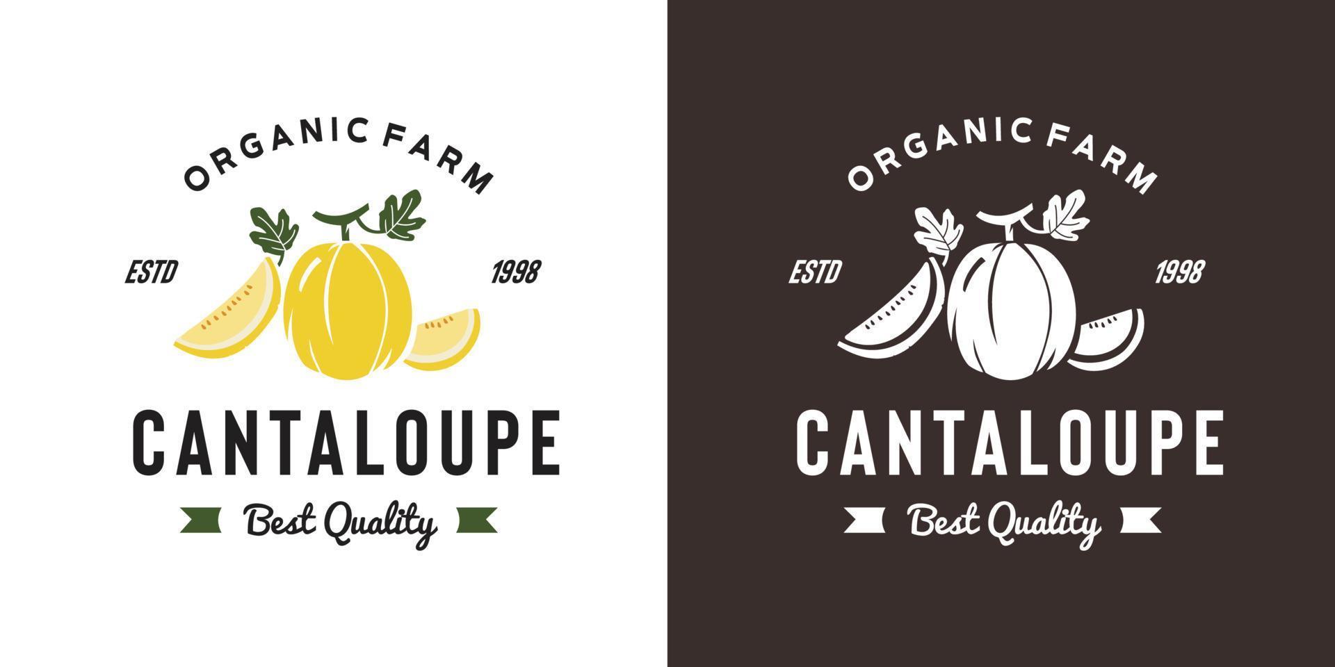 vintage cantaloupe fruit logo illustration suitable for fruit shop and fruit farm vector