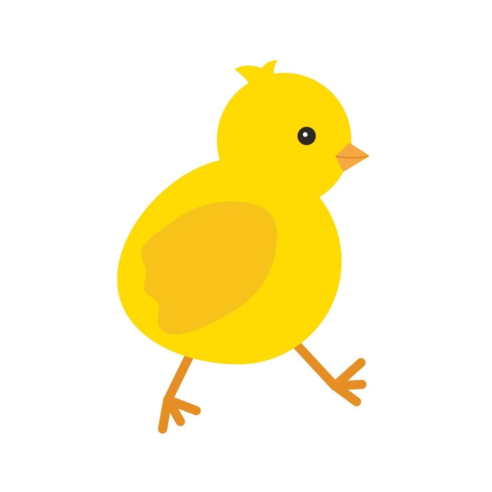 lindo pollo amarillo para el diseño de Pascua. pequeño pollito amarillo de dibujos animados. ilustración vectorial aislado sobre fondo blanco vector