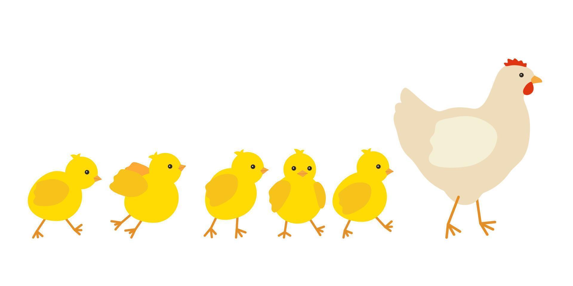 familia de pollos, madre de gallinas que lidera la fila de sus pollitos amarillos. pollo con cría, símbolo pascua. familia de aves domésticas, aves de corral. ilustración vectorial vector