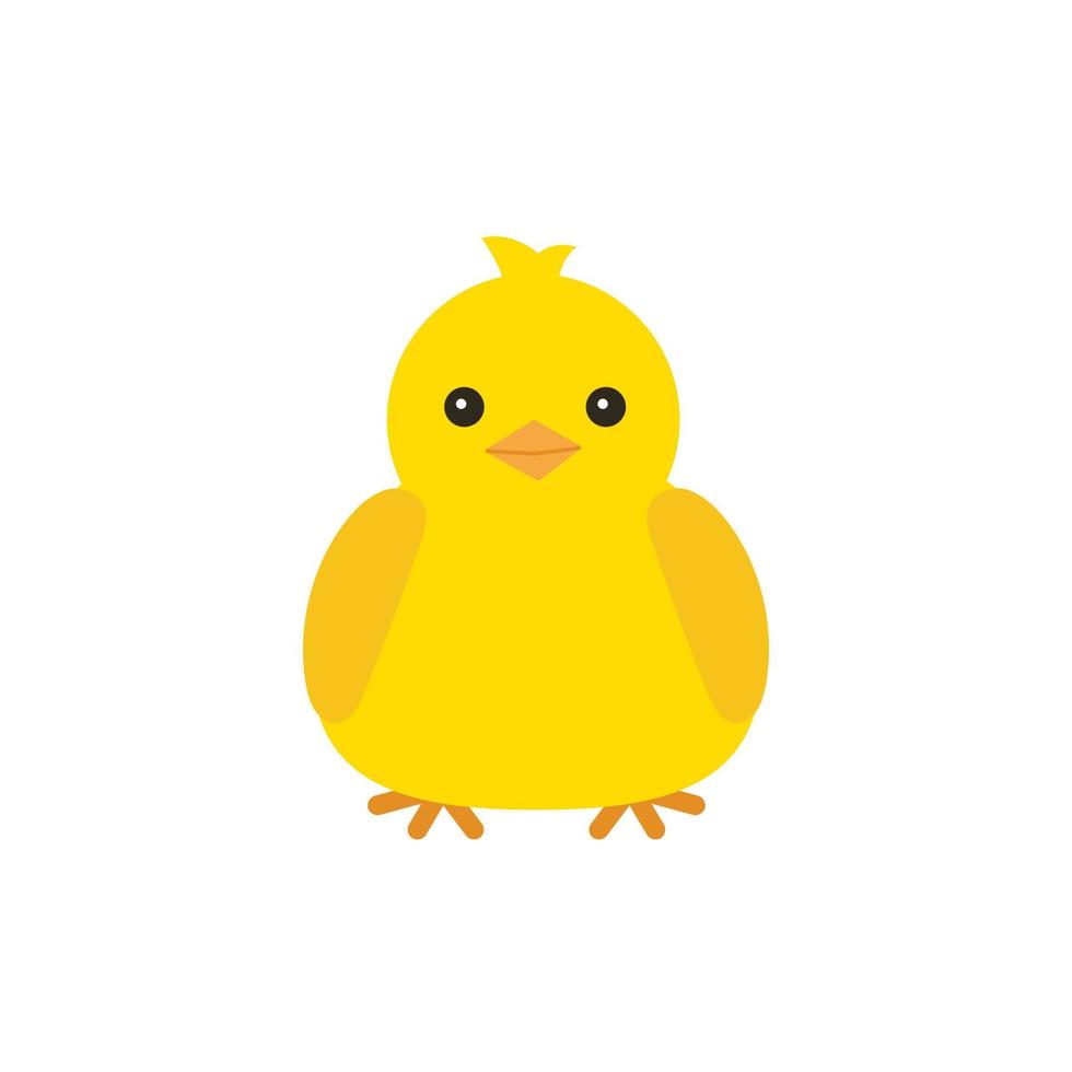 Cute yellow baby chicken for easter design. Little yellow cartoon chick. Vector illustration isolated on white background