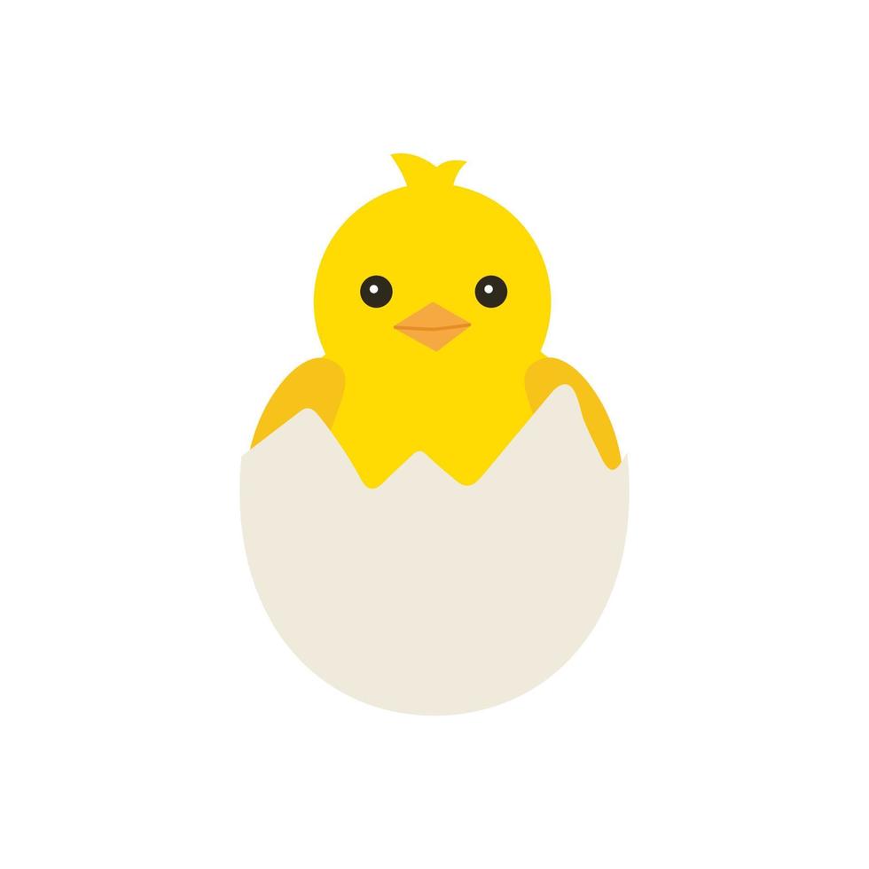 Newborn yellow baby chicken hatched from an egg, for easter design. Little yellow cartoon chick. Vector illustration isolated on white background