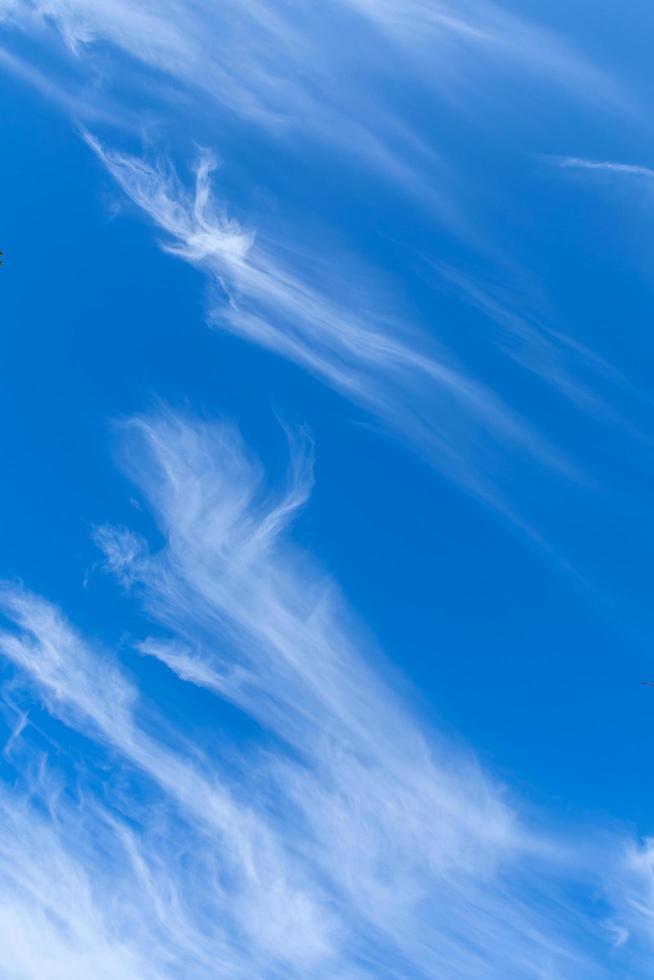 The sky is blue with clouds in beautiful, strangely patterned lines. photo