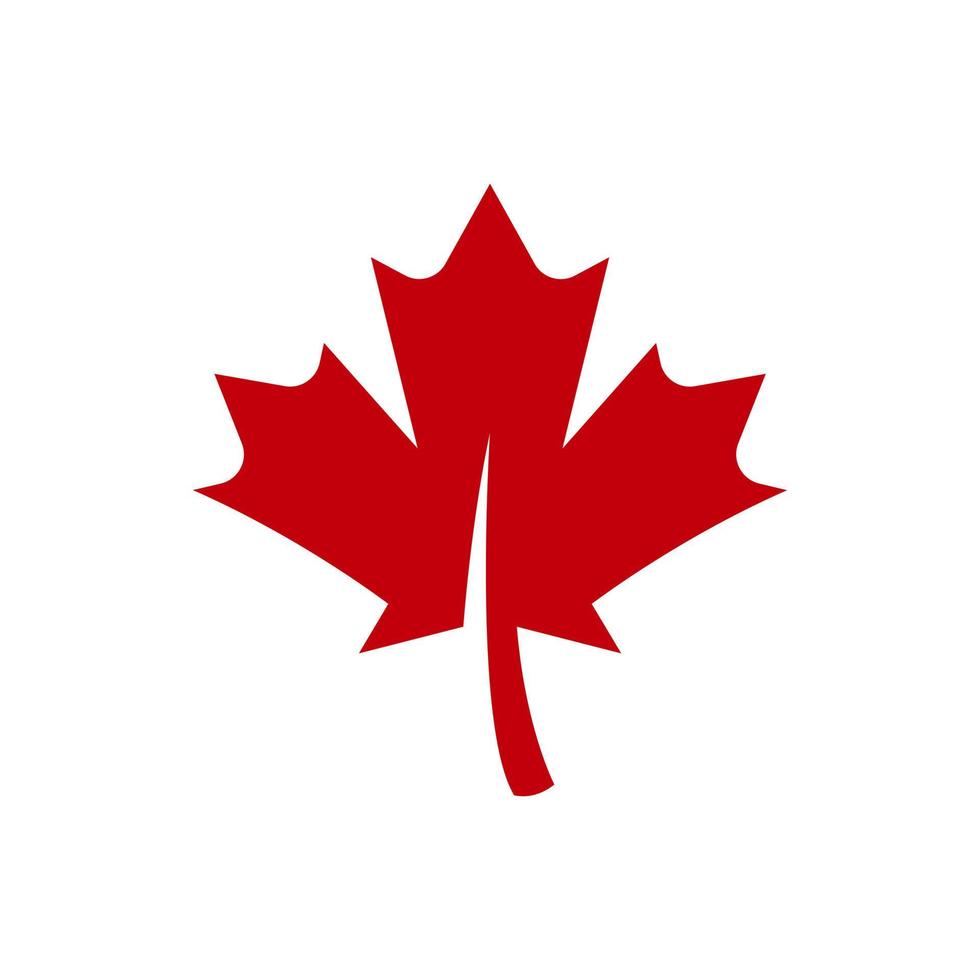 maple leaf icon vector