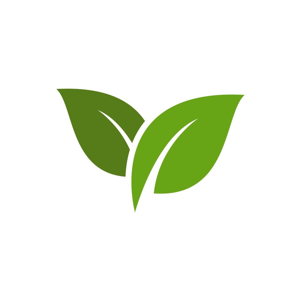 logotipo de hojas de la naturaleza vector
